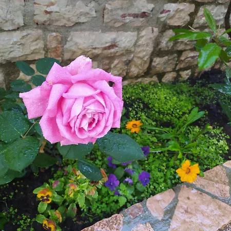 Apartamento Sunmoon Sarandë